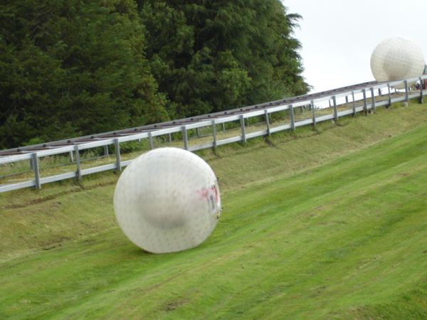 zorbing course in New Zealand